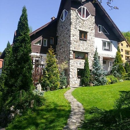 Pension Casa Contelui Rîşnov Extérieur photo