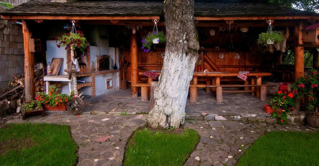 Pension Casa Contelui Rîşnov Extérieur photo