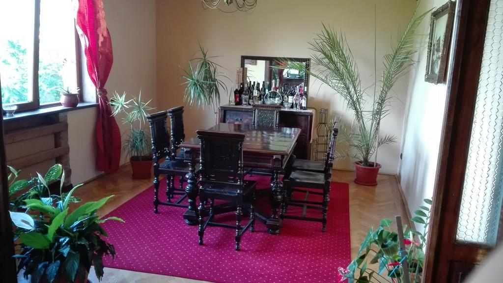 Pension Casa Contelui Rîşnov Extérieur photo