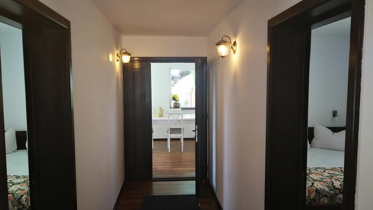 Pension Casa Contelui Rîşnov Extérieur photo